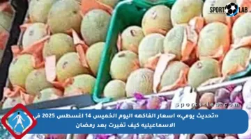 «تحديث يومي» أسعار الفاكهة اليوم الخميس 14 أغسطس 2025 في الإسماعيلية كيف تغيرت بعد رمضان